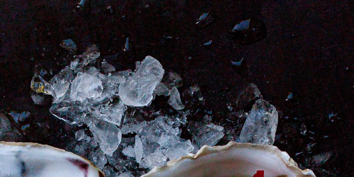 RECEPT: NO FISH OESTERS VAN OESTERZAMMEN EN WAKAME