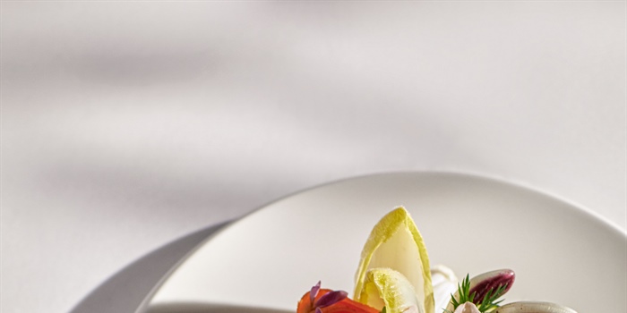 RECEPT: GROENTENROLLETJES MET GEITENROOMKAAS